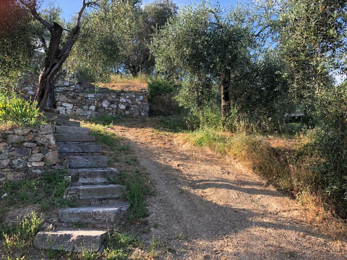 Villa Teca & Succo - Nature E Relax Sestri Levante Exterior foto